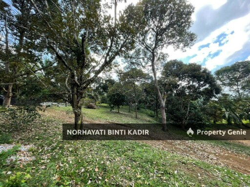(HOT AREA) LOT BANGLO RTP BUKIT GOH BERHAMPIRAN KOTASAS
