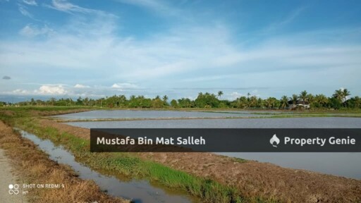 [1ST GRADE] Tanah Bendang, Permatang Kerai Besar, Kepala Batas, Pulau Pinang