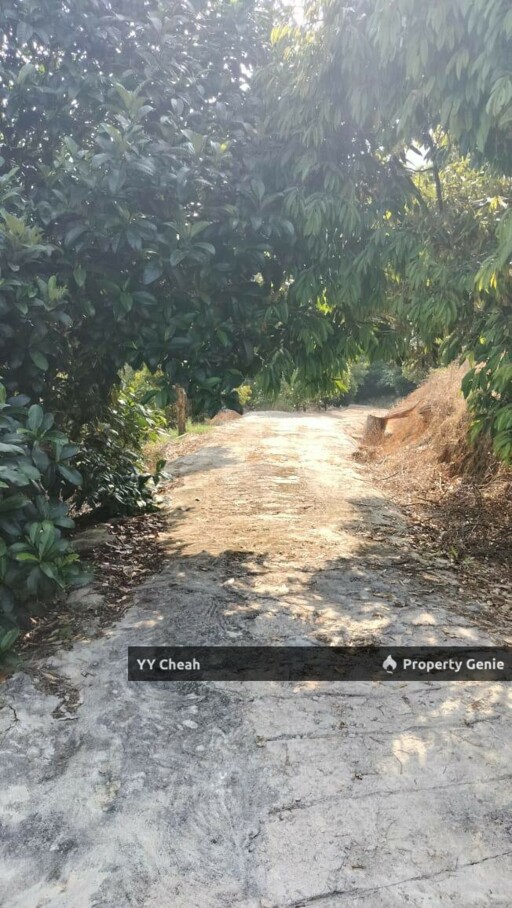 Kuala Kangsar Perak - freehold agriculture for sale, 4 acres, easy access