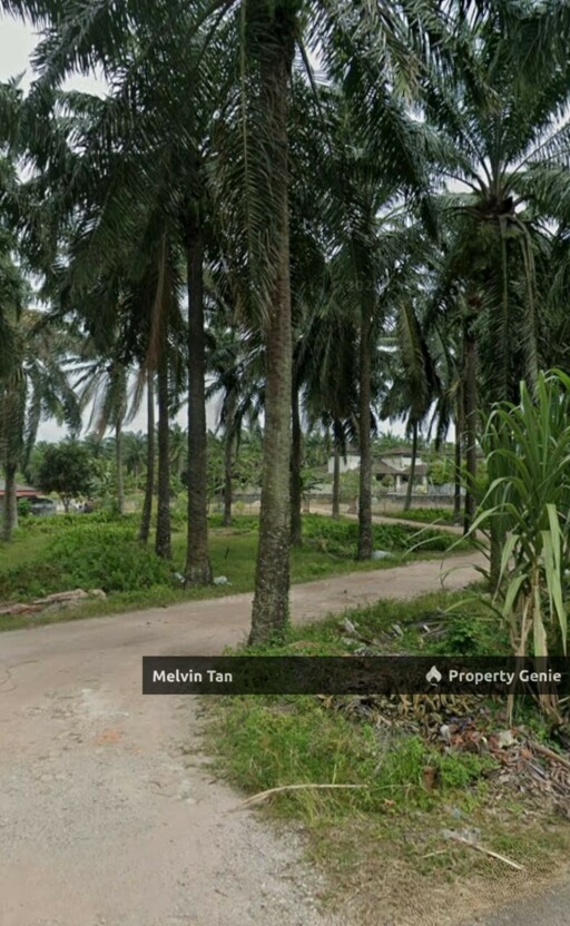 Pulau Gadong,Melaka - Agriculture Land