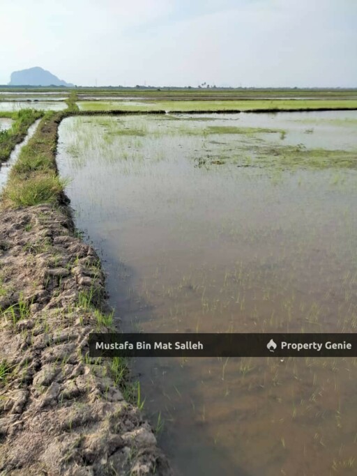 [POTENTIAL LAND FOR DEVELOPMENT] Mergong, Alor Setar