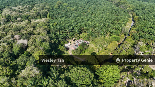 Jasin Jln Tehel Freehold Mainroad 9.9acres Matured Palm Oil Agri Land