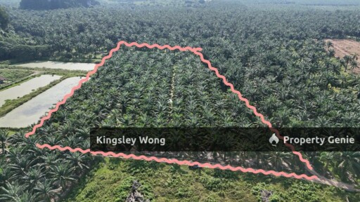 Sungai Siput Jalong Tinggi Freehold Agricultural Land 5 from Main Road