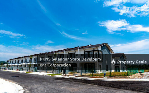 Rafflesia @ Bernam Jaya