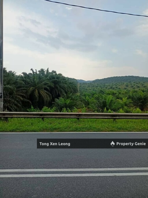 Rompin, Negeri Sembilan