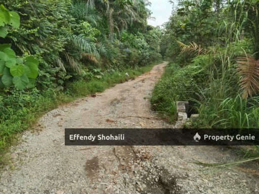 SUNGAI BHARU ULU YAM AGRICULTURAL LAND