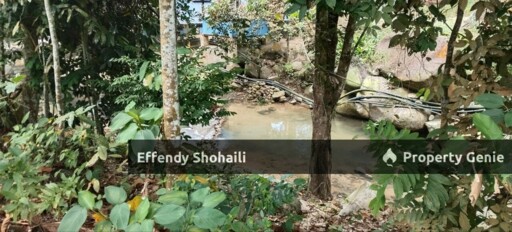 HULU LANGAT TANAH PERTANIAN