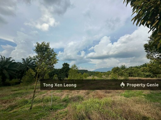 Nyalas Durian Land For Sale