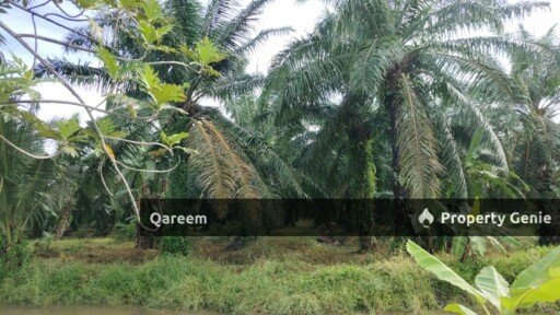 1 Ekar Tanah Kampung Sungai Burong Sekinchan Kuala Selangor