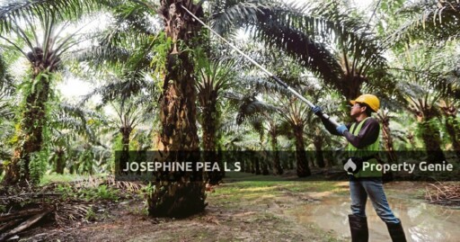 Agricultural Land for Sale in Titi 知知港, Negeri Sembilan 森美兰