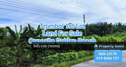 Trombol Land For Sale (Opposite Golden Beach)