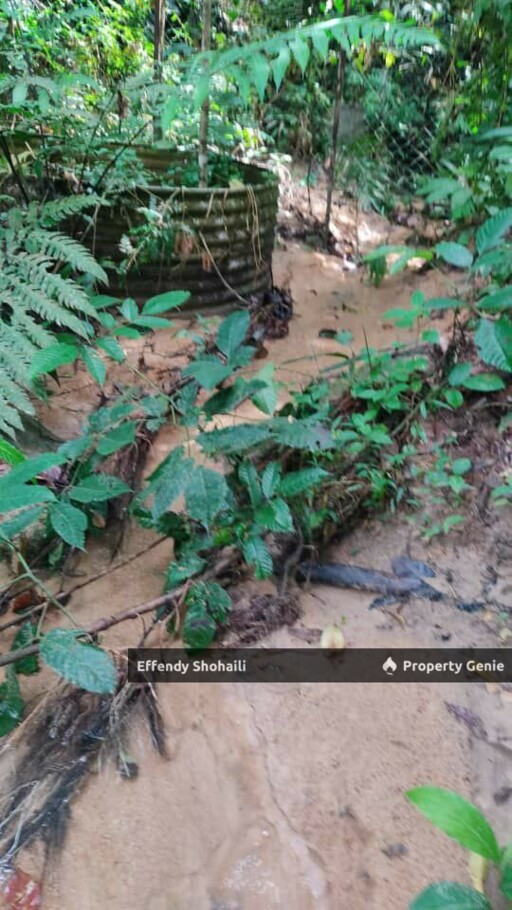 SERI MENANTI KUALA PILAH TANAH PERTANIAN