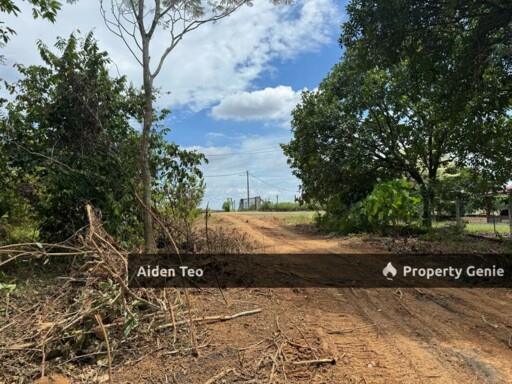 Durian Tunggal For Sale Taman Nuri Sentosa For Sale