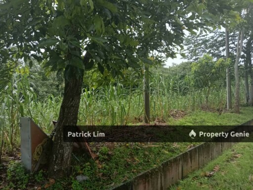 [Freehold] Agricultural Land For Sale @ Mukim Padang Sebang, Melaka