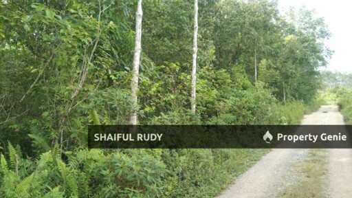TANAH PERTANIAN untuk Dijual di Kampung Bukit Tingkat, Mukim Sanggang, Temerloh, Pahang