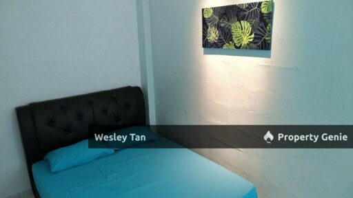 Anika Bachang Flat 3 Rooms Renovated & Furnished Mid Floor Split Meter