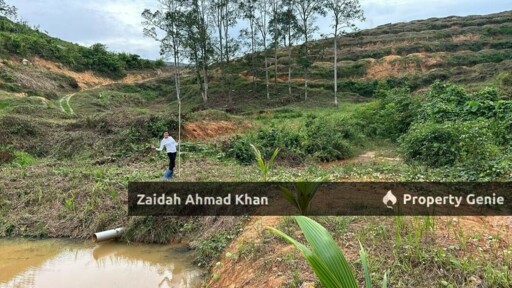 Durian Orchard Premium For Sale