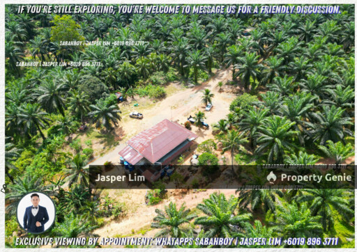 Kunak - Semporna Plantation Flat Land