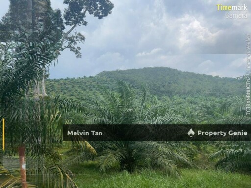 Rembau,Negeri Sembilan