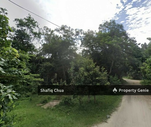 Agriculture Land Kulim Kedah For Sale
