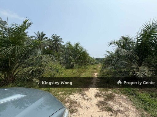 Sungai Siput 2 Acres Land Road Side Land Flat Land