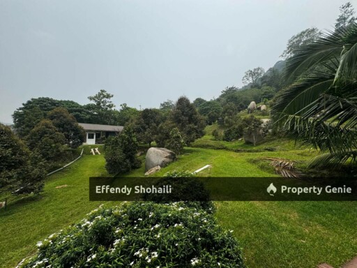 KUALA KANGSAR DURIAN ORCHARD WITH BUNGALOW