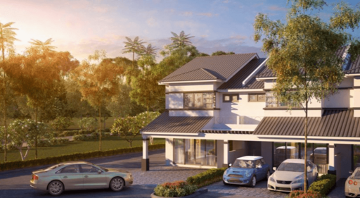 Camellia Ipoh