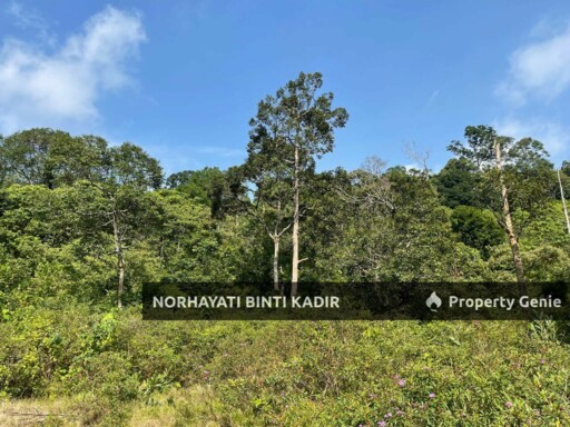 (HOT AREA) TANAH KEBUN DI BUKIT KUIN 2, KUANTAN