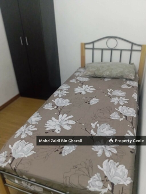 Fully furnished apartment for rent