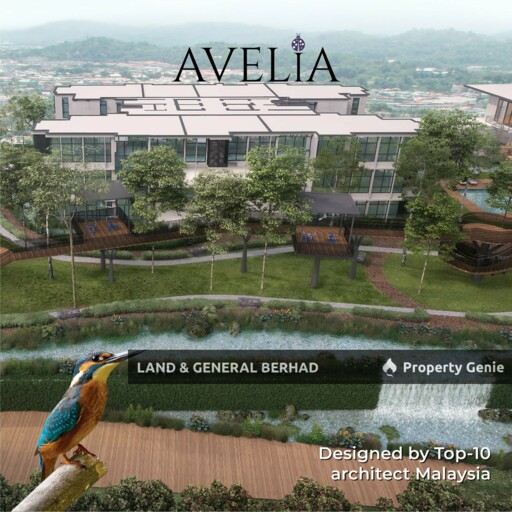 Avelia