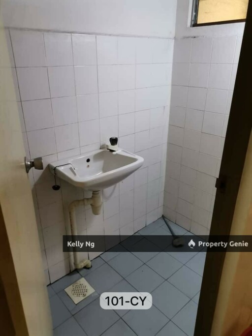 Palma Botanic Apartment At Bdr Botanic Klang For Rent & Sale
