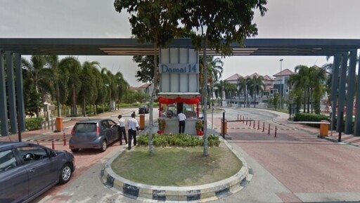 Antiaris, Setia Damai