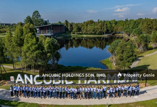 Ancubic Harmoni