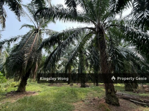Sungai Siput Agriculture Land 3.2 Acres Flat Land Industrial Zone