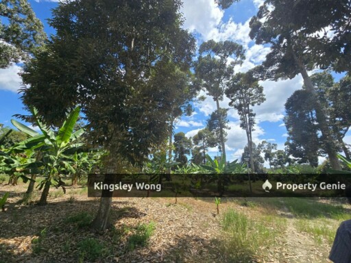 Manong, Kuala Kangsar, Perak Freehold 4.18 Acres Durian Farm  Agricultural Land