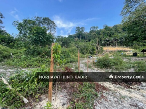 (HOT AREA) TANAH KEBUN DI BUKIT KUIN 2, KUANTAN