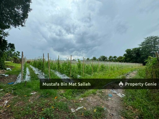 [Tanah Pertanian] Kampung Selamat, Tasek Gelugor