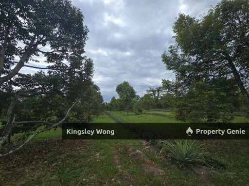 Lawin Kuala Kangsar Freehold Agricultural Land Existing Chalet