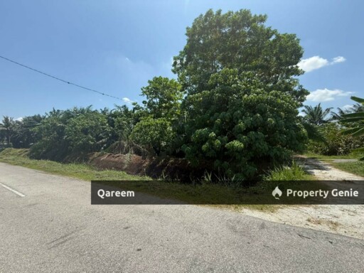 3.4 Ekar parit 10 Sungai Panjang Sabak Bernam