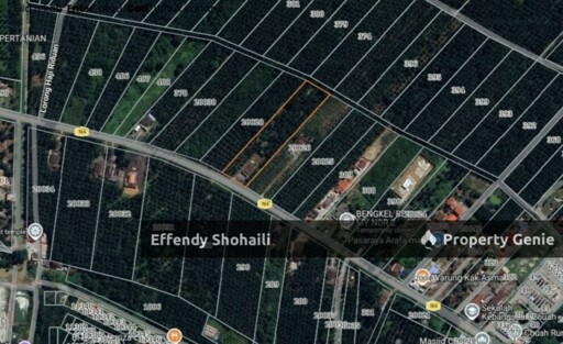 PORT DICKSON CHUAH OIL PALM ORCHARD