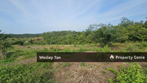 Durian Tunggal Below Value Oil Palm Approx 6.5acres land Freehold Road