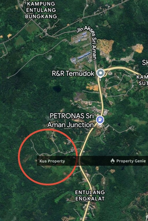 Freehold Agriculture Land at Entulang Sri Aman