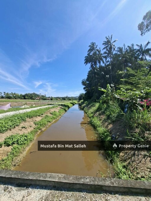 [Tanah Bendang] Bagan Samak, Bandar Baharu, Kedah