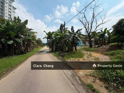Beside Second Link Tuas 4acres Residential Land