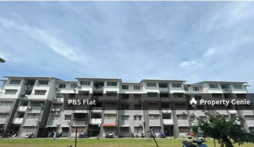 PBS Flat