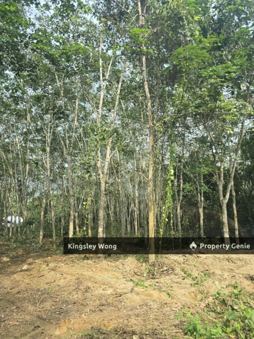 Freehold Agriculture Land Jerlun, Kuala Kangsar Beside Highway with Reserved Road
