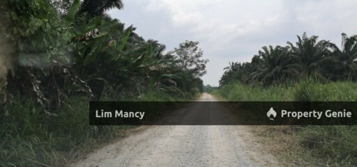 Gelang Patah / Pekan Nanas / Iskandar Puteri Agriculture Land
