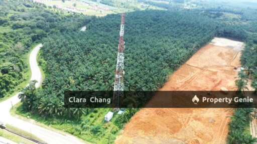 Kota Tinggi Agricultural Land for Sale