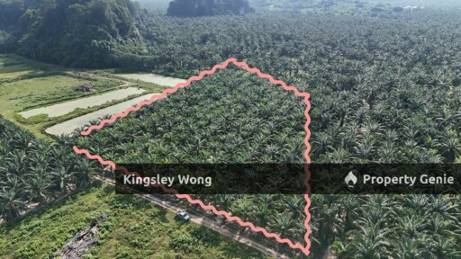 Sungai Siput Jalong Tinggi Freehold Agricultural Land 5 from Main Road