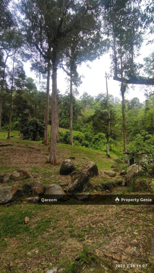 3.84 Ekar Dusun dan Sungai Jernih Cantik, Batang Kali